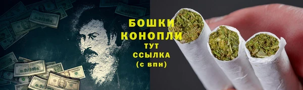 гидра Аркадак